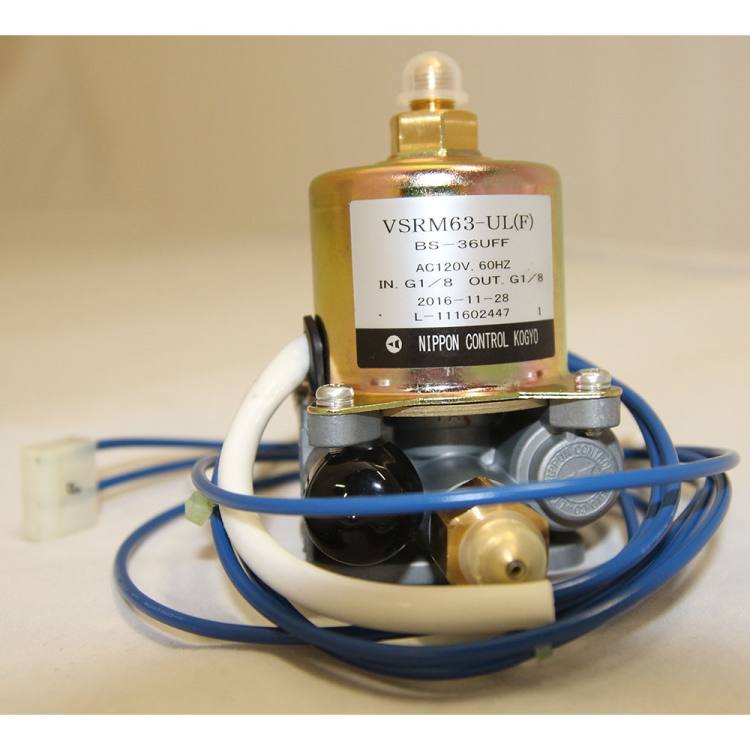 Fuel Pump, BS36UFF