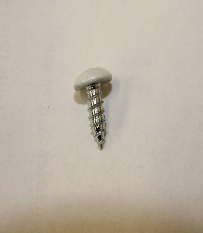 Screw 1S - Painted Finish - L55, 56, 72, 73, 60AT, NS-2700, OM-22 (10 Each)