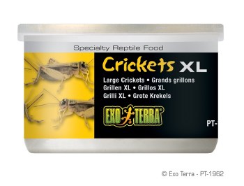 ExoTerra XL Crickets Reptile Food 1.2oz