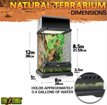 Exo Terra Glass Terrarium 8 inch x 8 inch x 12 inch