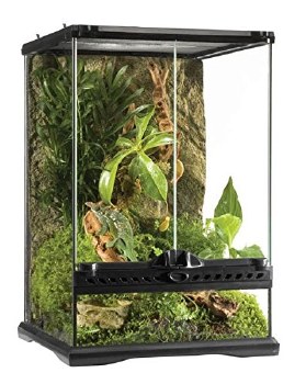 Exo Terra Galss Terrarium 12 inch x 12 inch x 18 inch