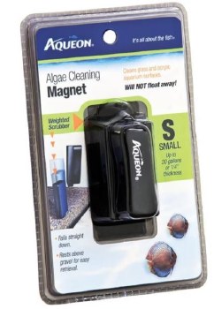 Algae Cleaning Magnet Sm