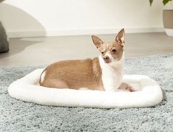 Midwest Quiet Time Deluxe Double Bolster Pet Bed, White, 18 inch x 13 inch