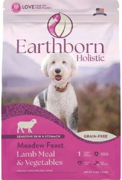 Earthborn Holistic Meadow Feast Grain Free Lamb and Pumpkin Adult Natural Dry Dog Food 4lb