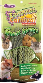 FMBrowns Tropical Carnival Wheat Sprays Small Animal Treats 1.5oz