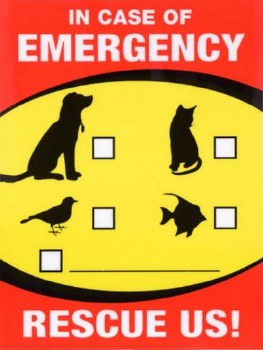 Emergency Rescue Decal 2 pack