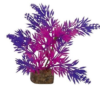 GloFish Multi Color Aquarium Plant, Pink Purple, Small