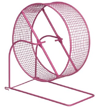 E-Z Roller 8" ExrciseWheel