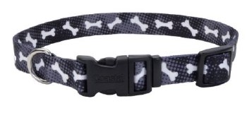 3/8 inch x 12 inch Attire Collar Black with White Bones