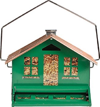 Woodstream Perky Pet, Squirrel Be Gone, Wild Bird Feeder, Green, 8lb