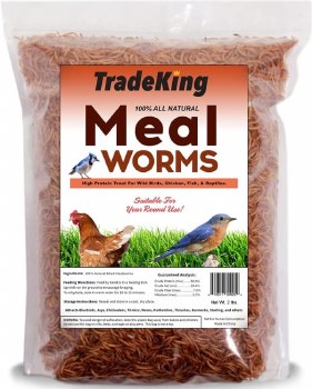Tradeking Dried Mealworms Wild Bird Food and Poultry Treats 2lb