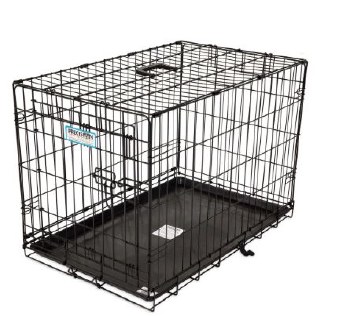 Petmate Precision 1 Door Crate 24 inch x 18 inch x 19 inch