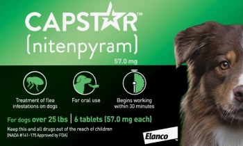 Capstar Flea and Tick Tablets for Dog, 6 count