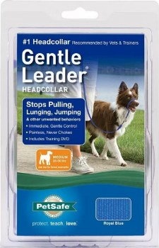 Petsafe Gentle Leader Dog Head Collar, Blue, Medium