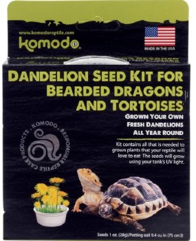GrowYourOwnDandelionKit