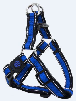 Athletica AirStep Harness Blue Large