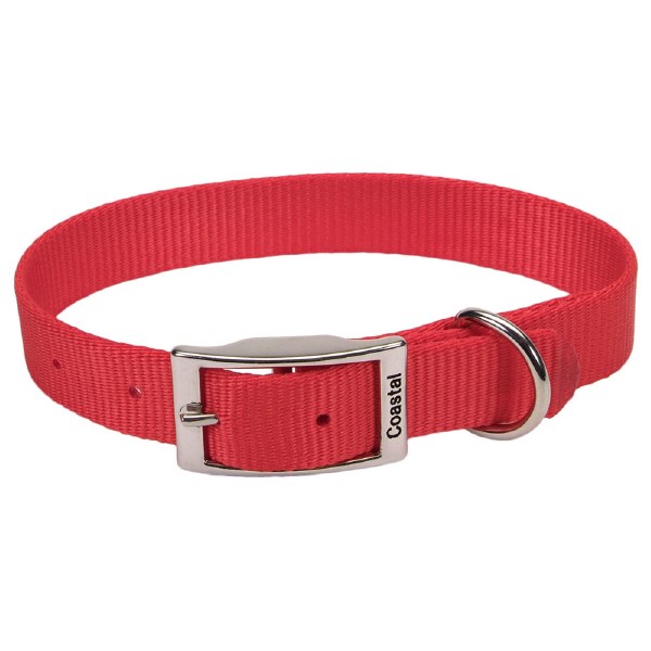 red collar dog food