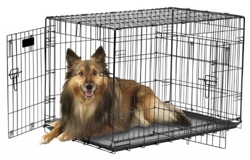 Petmate Precise 2 Door Crate 30 inch x 19 inch x 21 inch Magoo s Pet Outlet