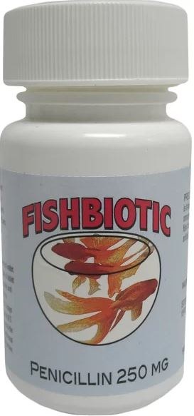 fishbiotic penicillin for dogs