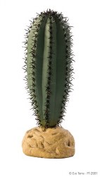 Exo Terra Desert Plant Saguaro Cactus