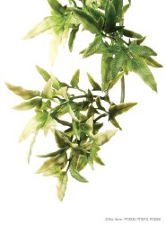 Exo Terra Croton Plant, Large