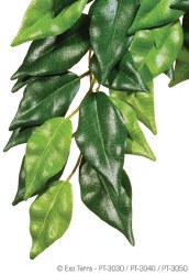 Exo Terra Silk Ficus Plant, Small