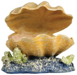 GloFish Clam Aquarium Ornament