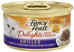 Purina Fancy Feast Delights Turkey and Cheese, Wet Cat Food, 3oz