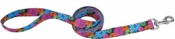 3/8 inch x 6ft Leash Wild Flower