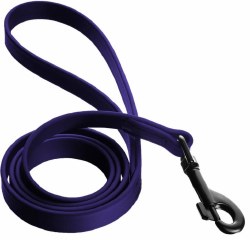 Coastal Pet Pro Waterproof Leash 1 inch x 6ft Purple