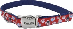 Coastal 1 inch x 18-26 inch Ribbon Collar, Multi Color Pink Background