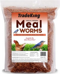 Tradeking Dried Mealworms Wild Bird Food and Poultry Treats 2lb