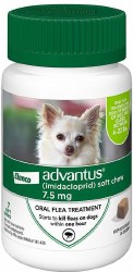 Bayer Advantus Flea And Tick Soft Chew 7 Count For Small Dogs 4-22 lb