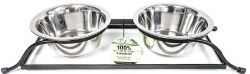 Advance Pet Iron Double Diner Stainlees Steel Dish, Dog Bowls, 1Pt