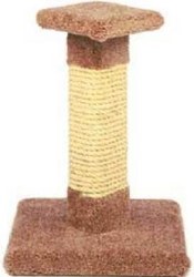 Kitty Cactus With Sisal 18 Inch