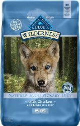 blue mountain food dog