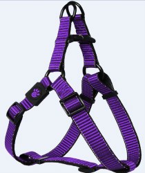 5/8 inch x 18-25 inch Martini Harness Purple