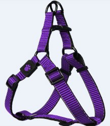 1 inch x 26-39 inch Martini Harness Purple