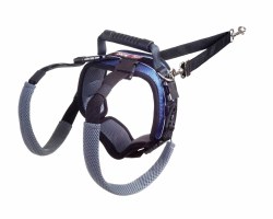 Solvit Carelift Rear Lifting Harness, Large 70-130lb, Blue