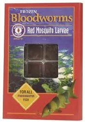 Frozen Bloodworms for all Freshwater Fish 36 cubes 1.75oz