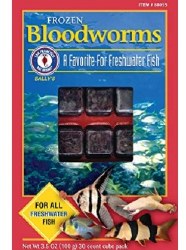 San Francisco Frozen Bloodworms for all Freshwater Fish 30 cubes 3.5oz