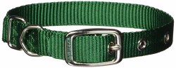 Hamilton Single Thick Nylon Deluxe Dog Collar, 14 inch, Green