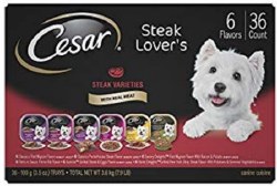 Cesar Canine Cuisine Steak Lovers Variety Pack Wet Dog Food Case of 36, 3.5oz Trays