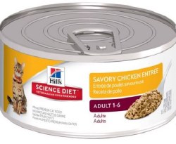 Hills Science Diet Adult Formula Savory Chicken Recipe Canned, Wet Cat Food, 5.5oz