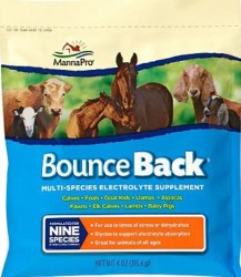MannaPro Bounce Back Multi Species Electrolyte Supplement Powder 4oz