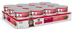 Hills Science Diet Adult Formula Savory Salmon Recipe Canned Wet Cat Food case of 24, 5.5oz Cans