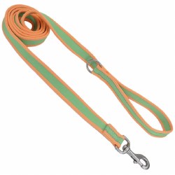 Nylon Leash 3/4 inch x 6ft Lime