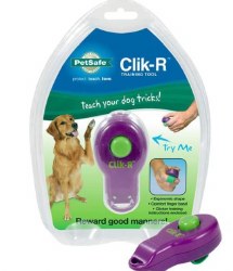 PetSafe Clicker Purple