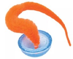 Coastal Turbo Tail Popper, Cat Toy