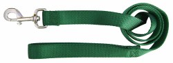 Hamilton Single Thick Nylon Dog Lead with Swivel Snap, 1inch thick, 4 feet long, Green